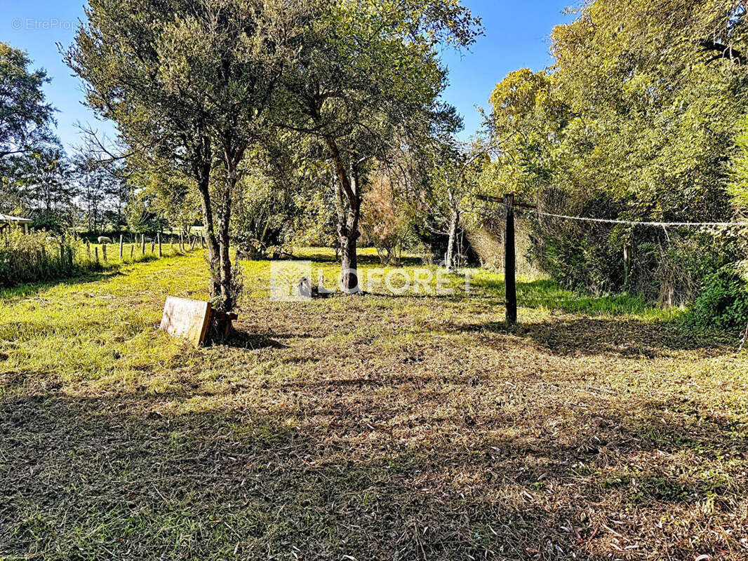 Maison à BEAUJEU-SAINT-VALLIER-PIERREJUX-ET-QUITTEUR