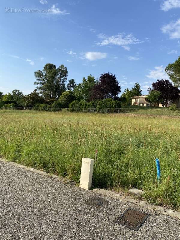 Terrain 760 m² à Negrepelisse  - photo 4