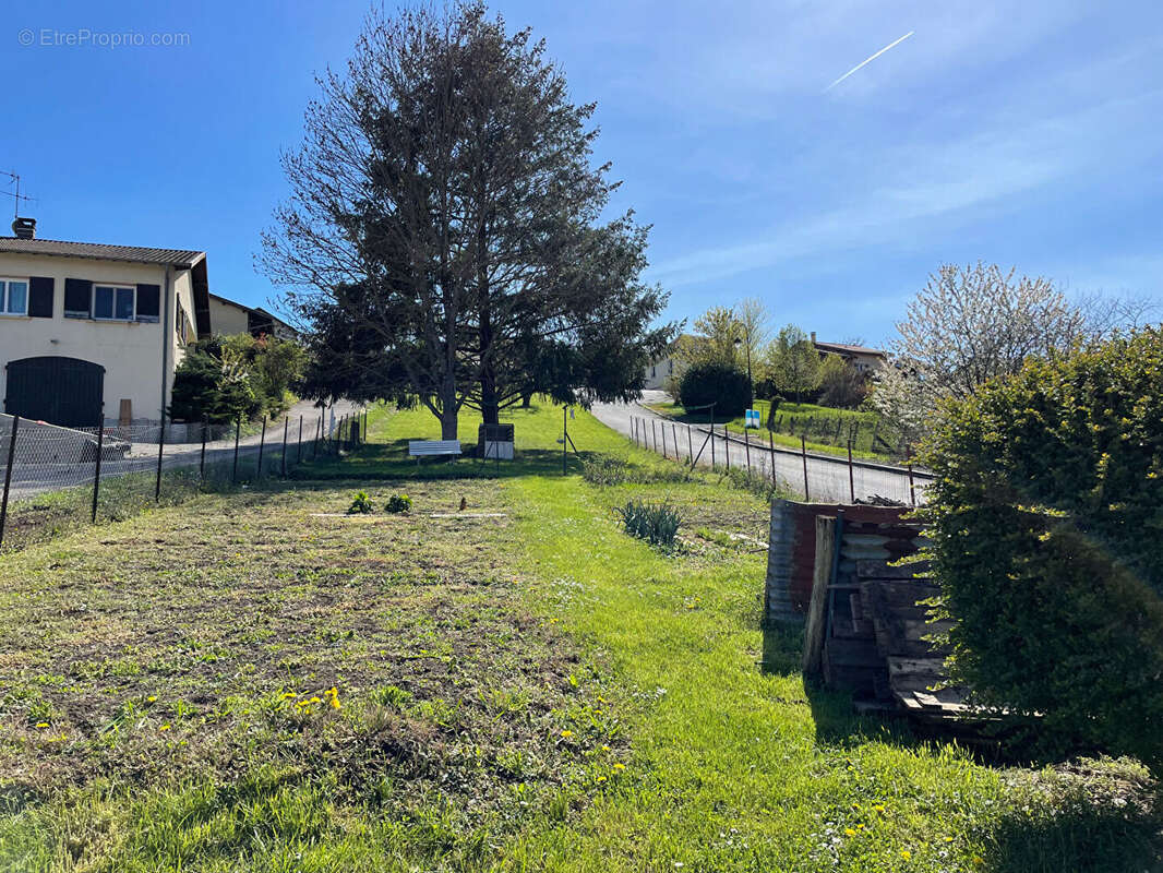 Terrain à POUILLY-LE-MONIAL