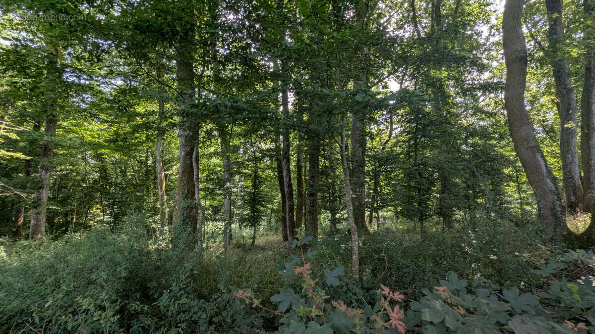 10 mn d'amboise - photo 18