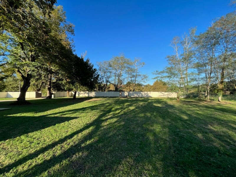 Maison de charme rénovée avec 2260 m2 de terrain sur Avensan - photo 14