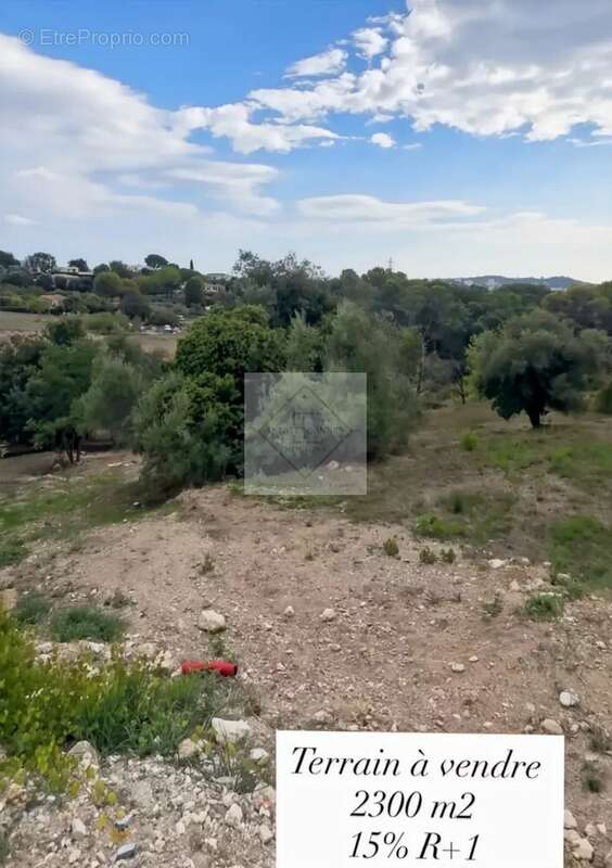 Terrain à MOUGINS