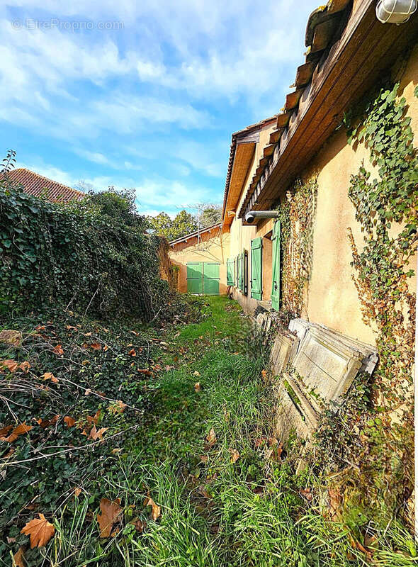 Maison à SAINT-VITE