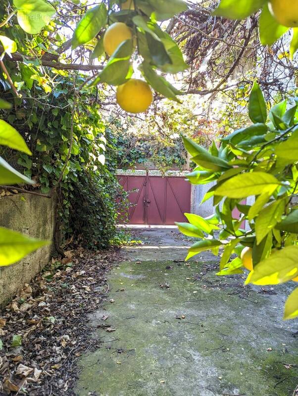 Maison à MONTPELLIER