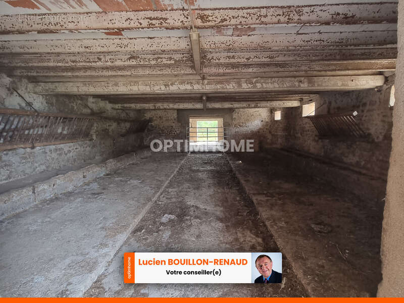 Propriete agricole avec 10 hect de terrain à  vendre /  7 pièces + DEPENDANCES - photo 5