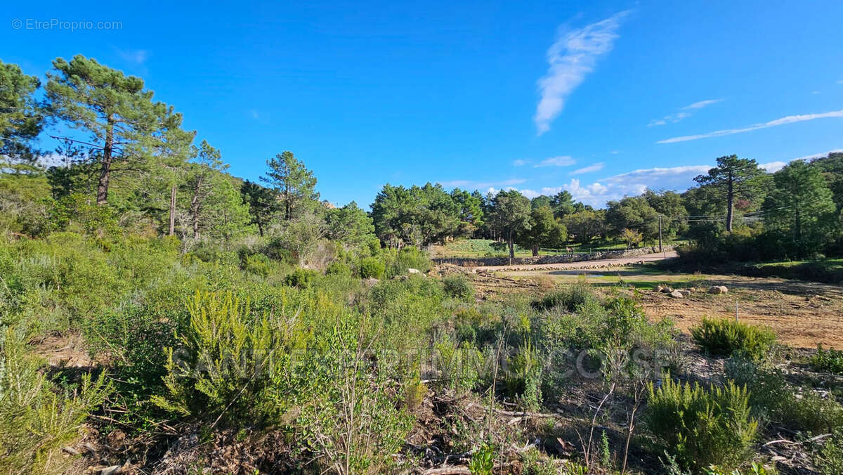 Terrain à SARI-SOLENZARA