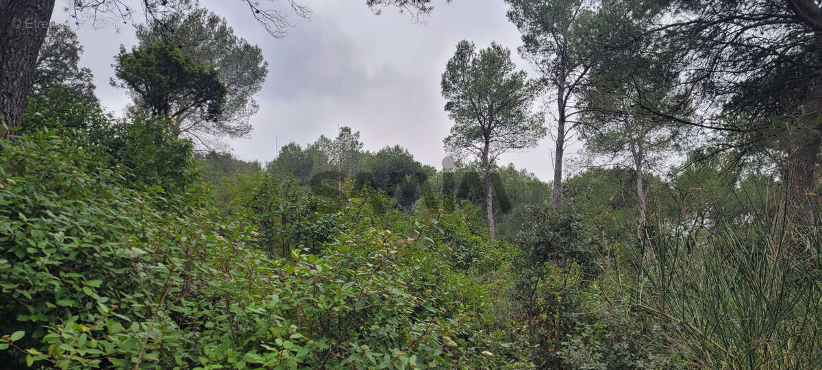 Terrain à CAVEIRAC