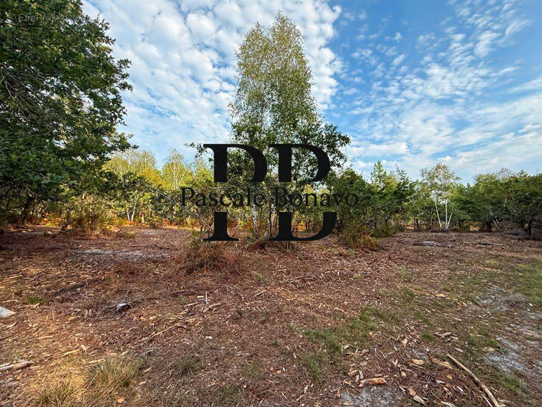 Terrain à VENDAYS-MONTALIVET