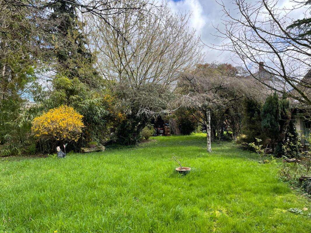 Maison Sainte Solange 7 pièce(s) 280 m2 sur terrain de  845 m² - photo 16