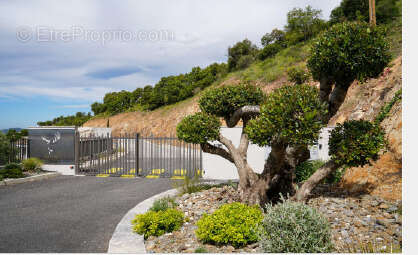 Terrain à LA LONDE-LES-MAURES