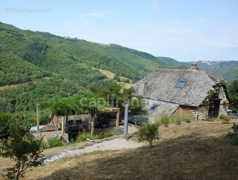 Maison à VIEILLEVIE