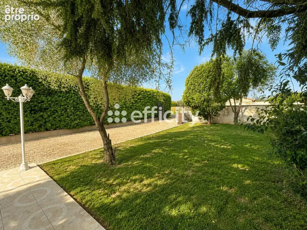 Appartement - photo 2