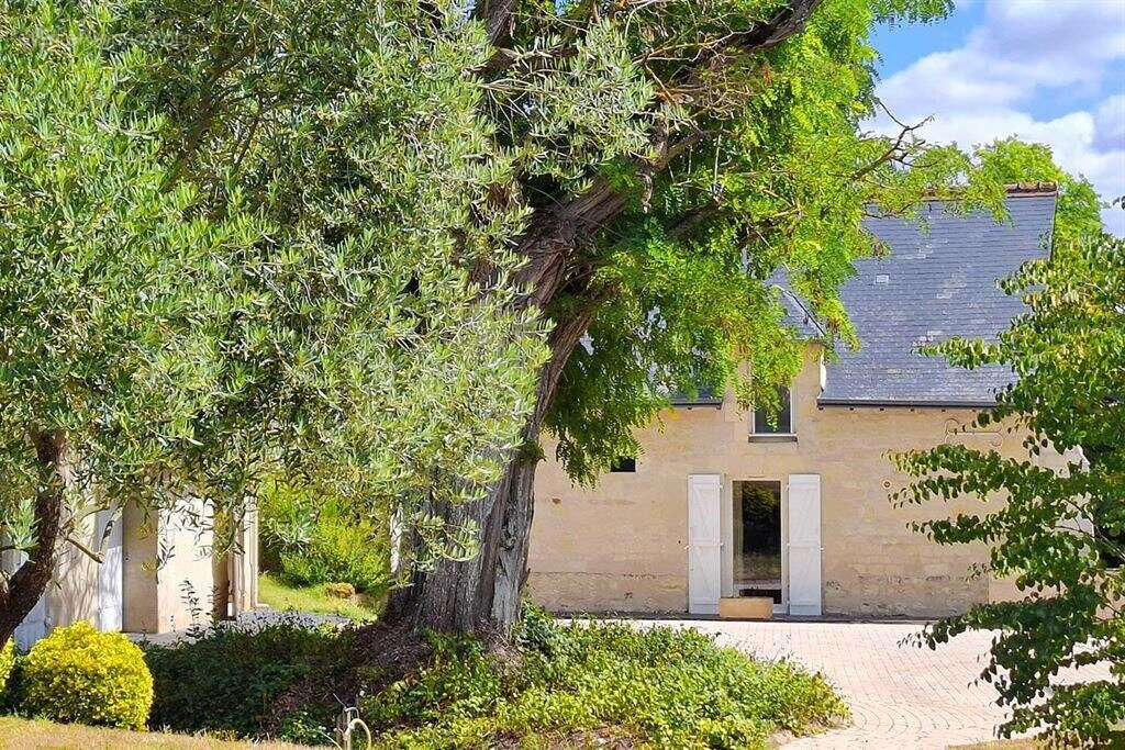 Indre et loire - chinon / thizay 37500 - maison 234 m² - 5 ch - deux gites - piscine - parc 8 000 m² - photo 2