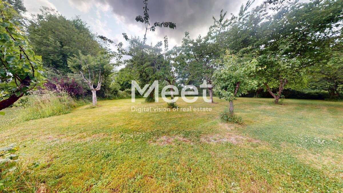 Commerce 790 m² à Diges  - photo 4