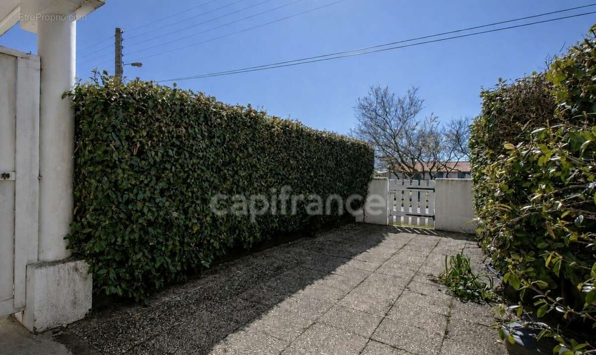 Appartement à vendre 2 pièces La Cotinière SAINT PIERRE D'OLERON (17) - photo 8