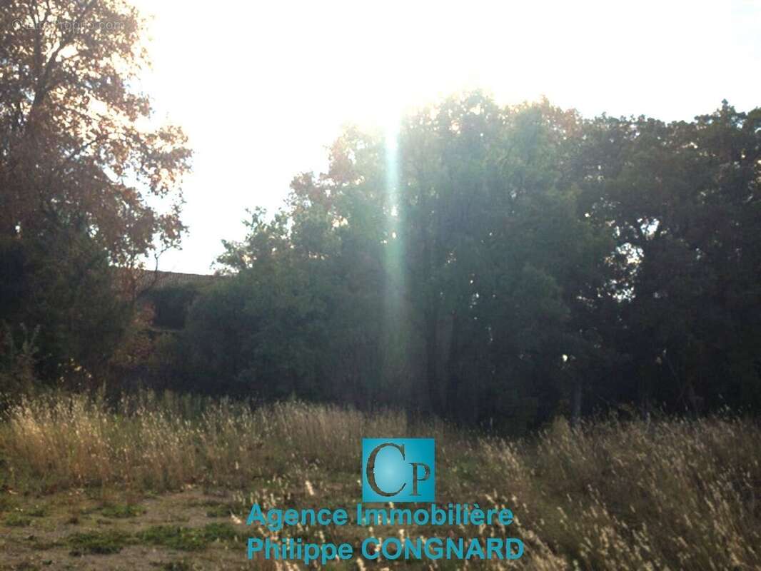 Photo 9 - Appartement à COLOMBIERS