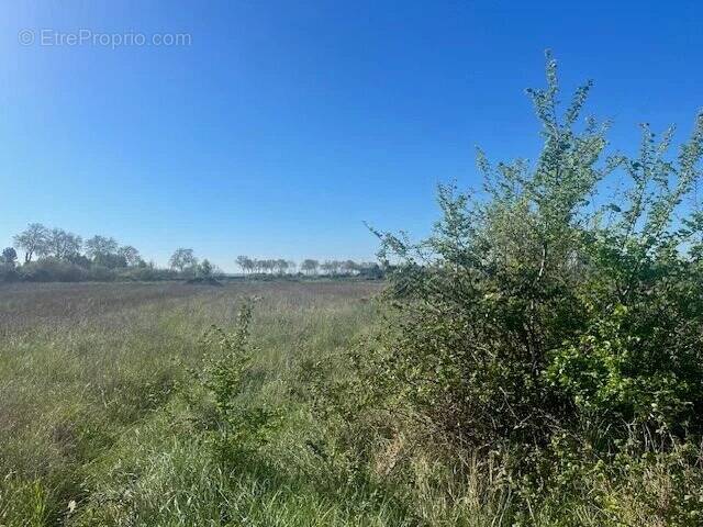 Terrain à CASTILLON-DU-GARD