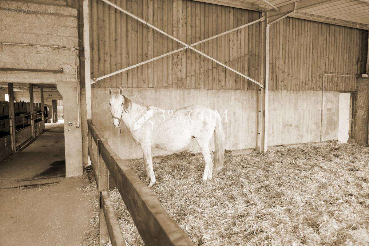 Maison à PREUSEVILLE