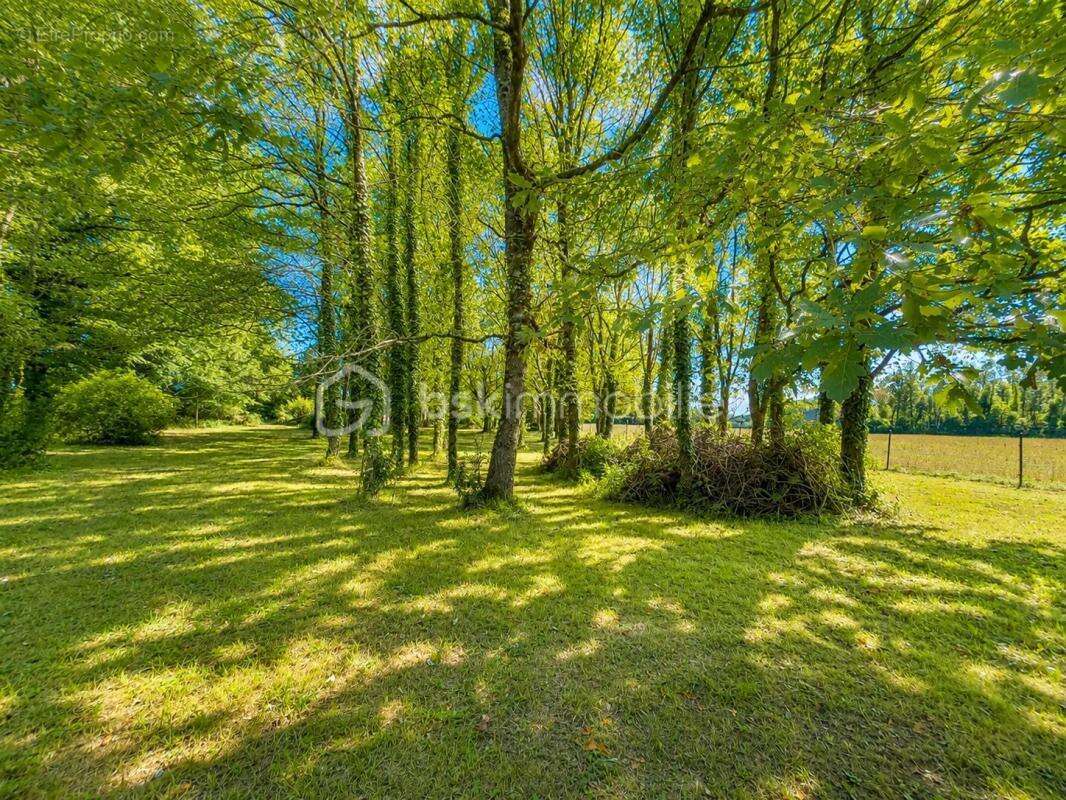 Exclusivité – maison de charme avec 5 000 m² de terrain arboré – entre campagne et littoral - photo 11