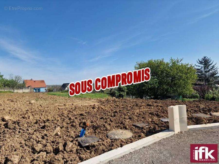 Pfaffenheim Terrain de constructions 9.37 ares - photo 3