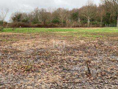Terrain à SAINT-LYPHARD