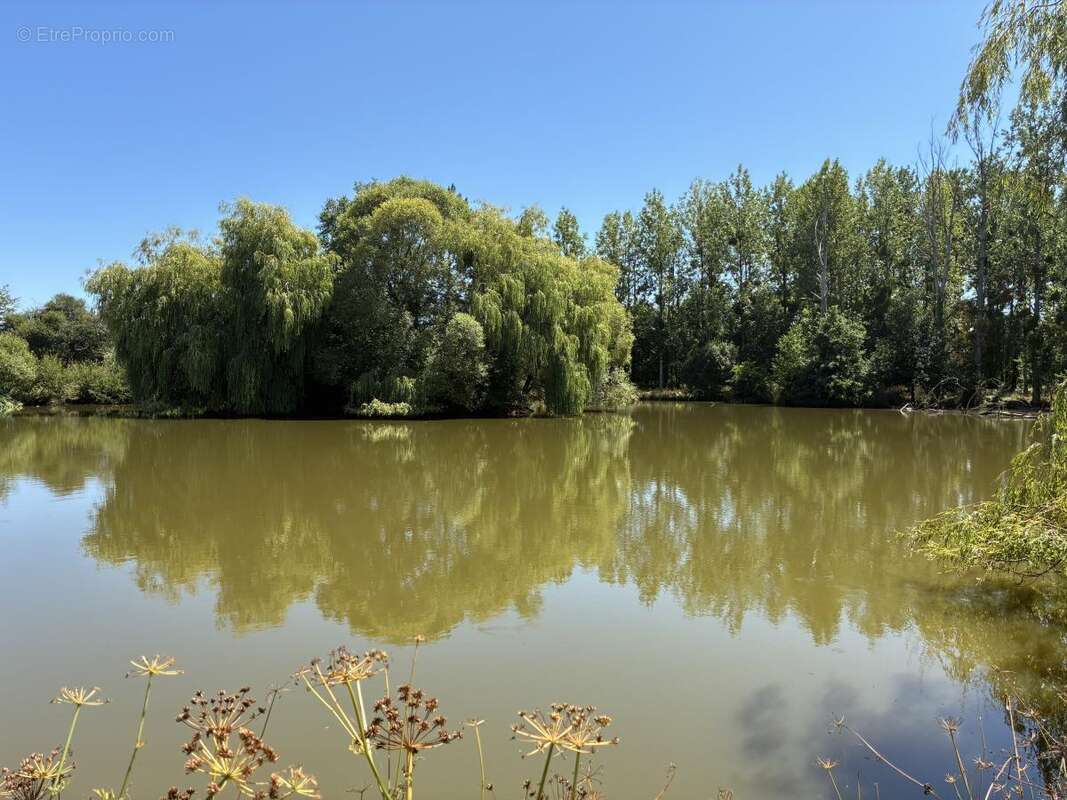 Terrain à LA BAZOUGE-DES-ALLEUX