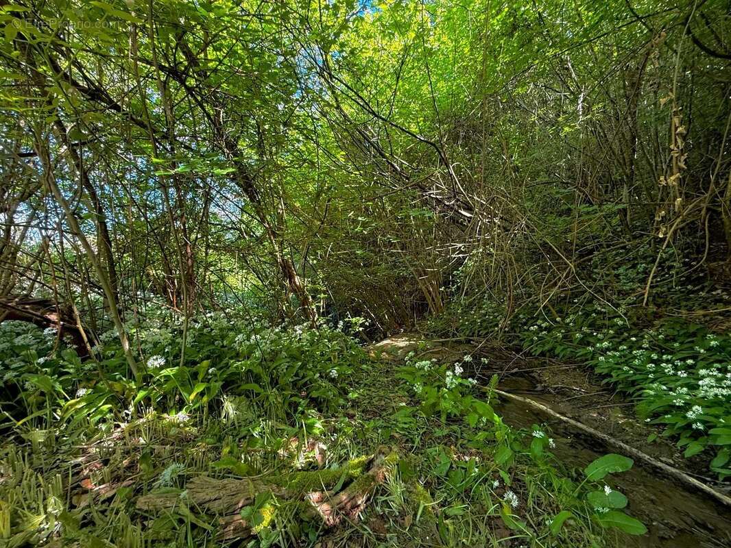 Terrain à LES MOLLETTES
