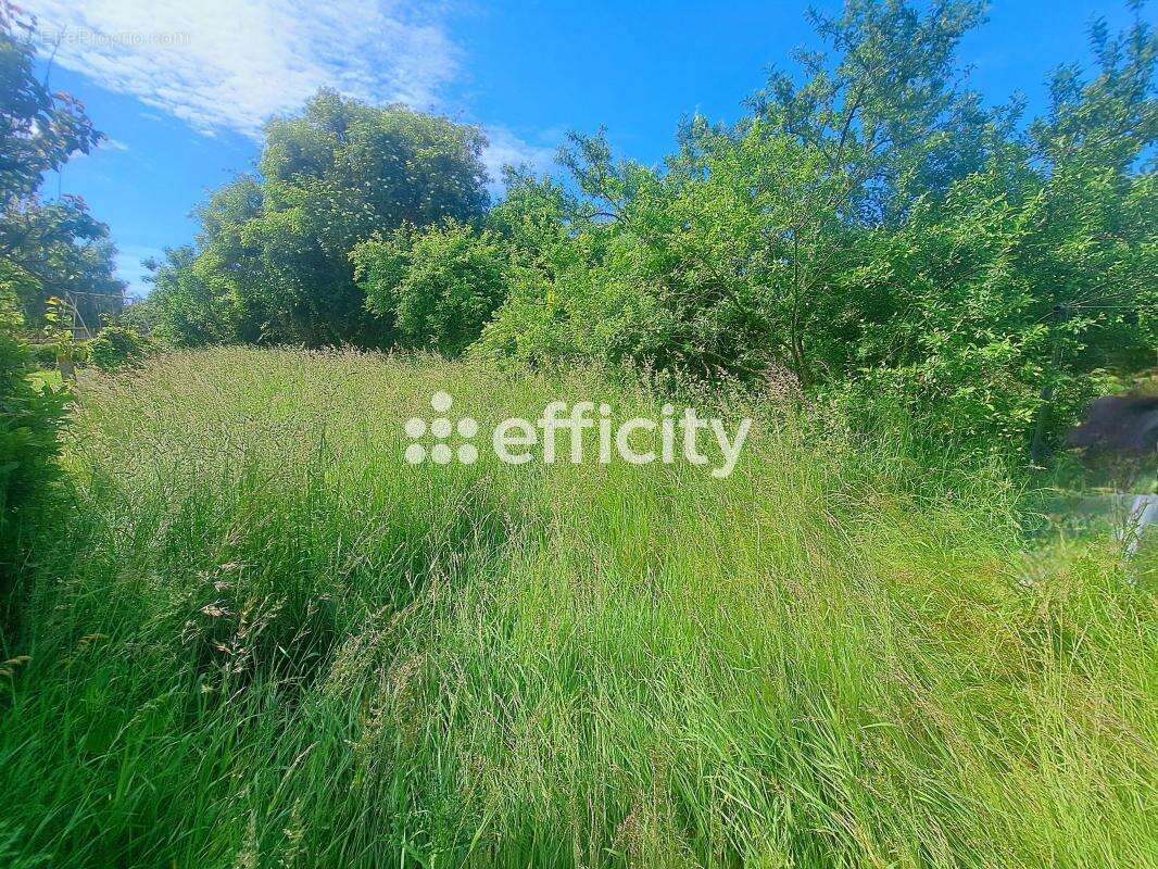 Maison à NEUILLE-PONT-PIERRE