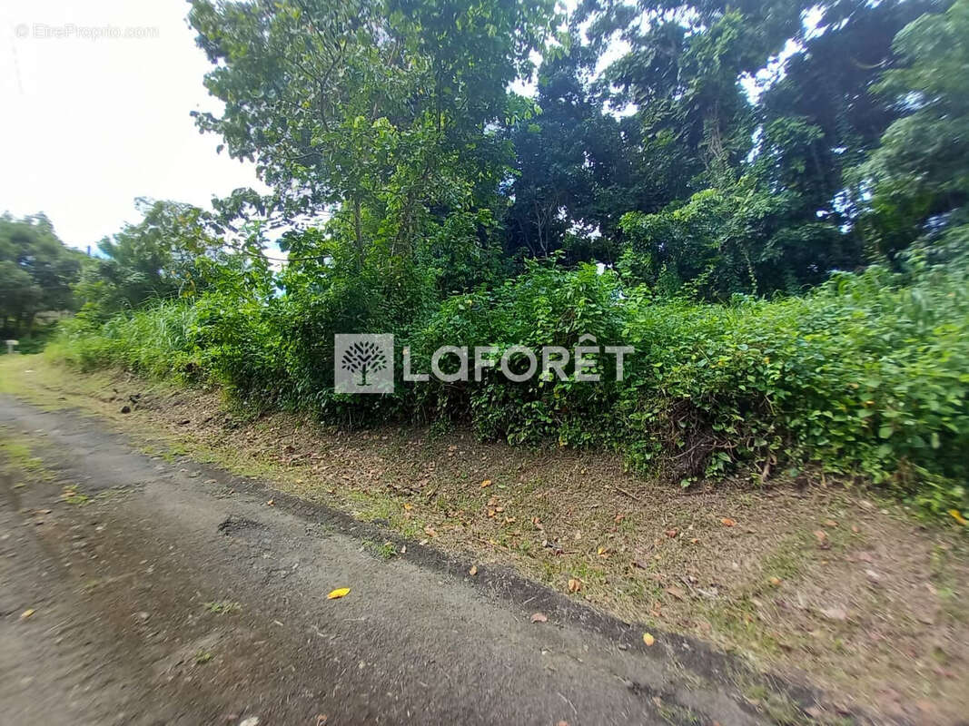 Terrain à LE ROBERT