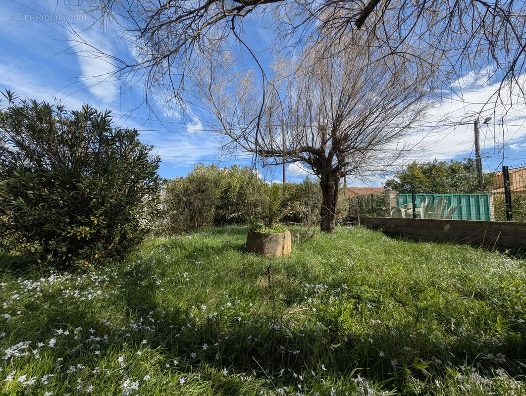 Maison à FRONTIGNAN