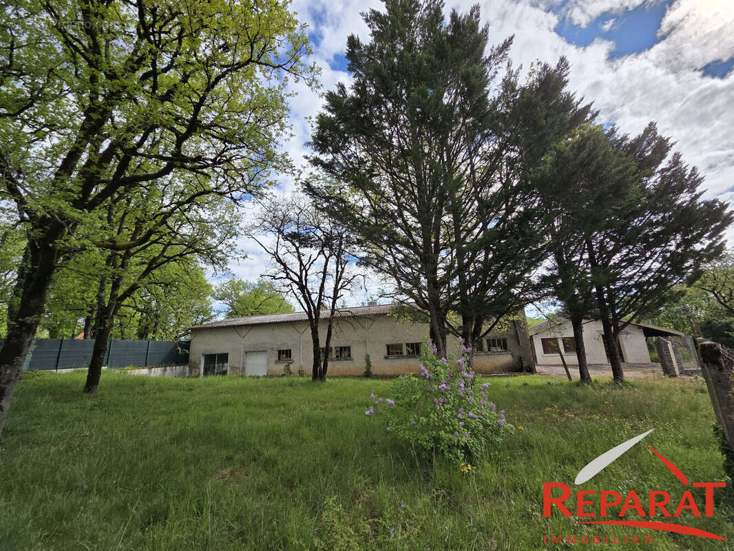 Commerce à NESPOULS