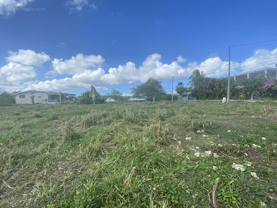 Terrain à SAINT-FRANCOIS