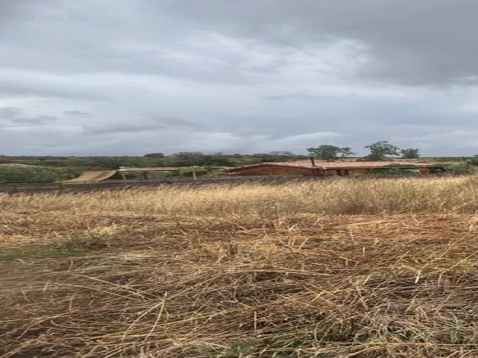 Terrain à BRUGAIROLLES
