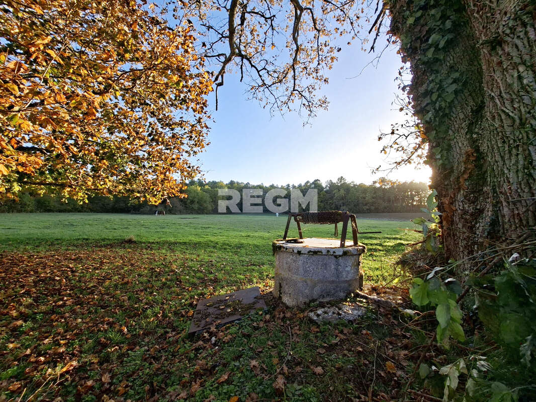 Maison en pierre razac de saussignac - photo 16
