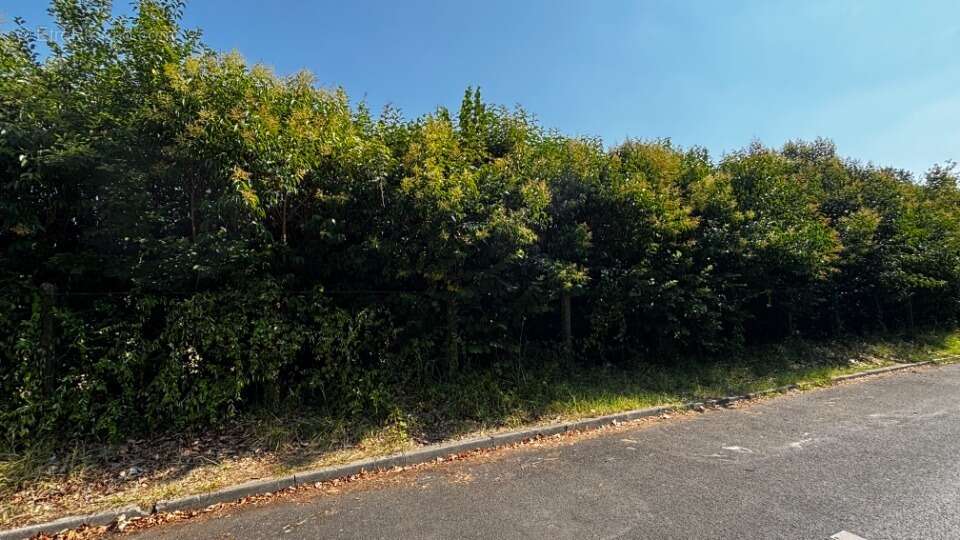 Terrain 700 m² à Lormont  - photo 2