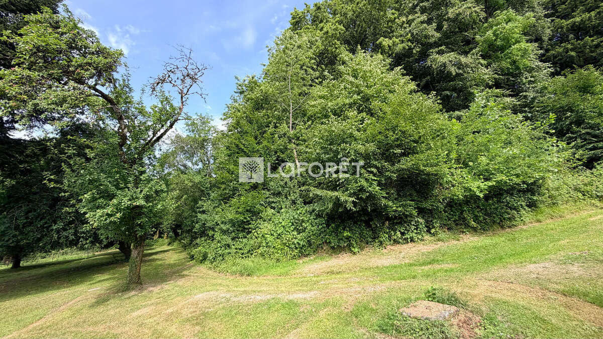 Propriété à FUTEAU - photo 18