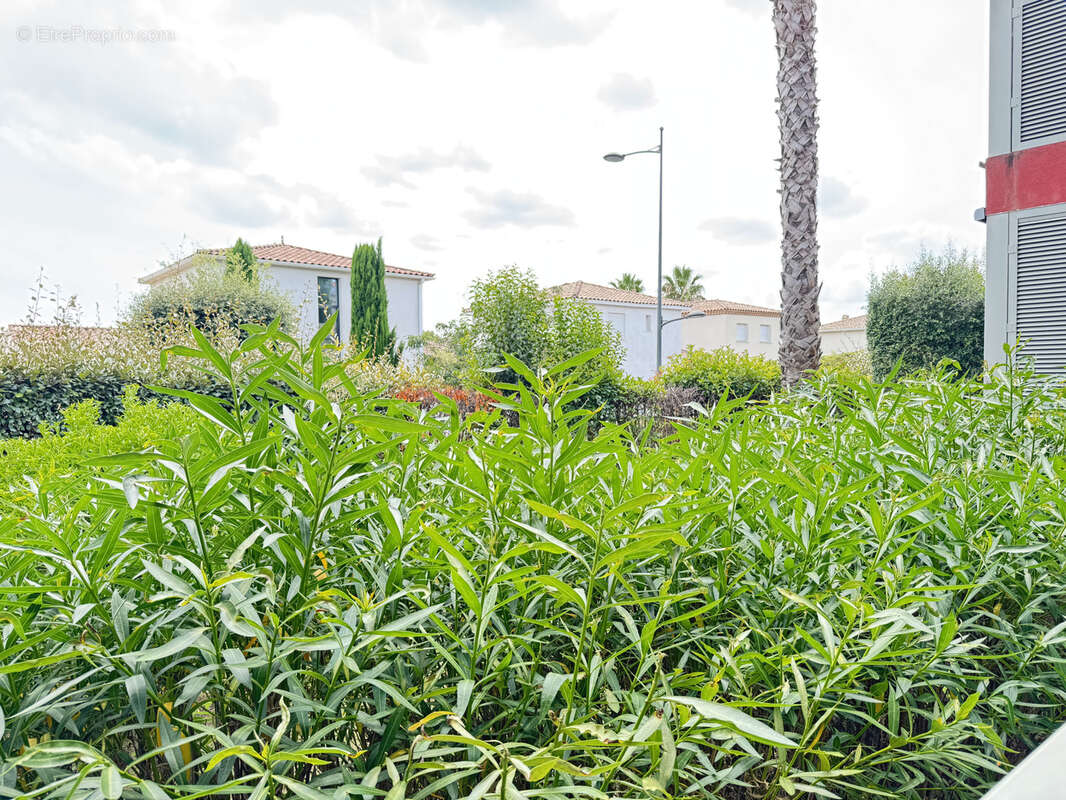 Appartement à MAUGUIO