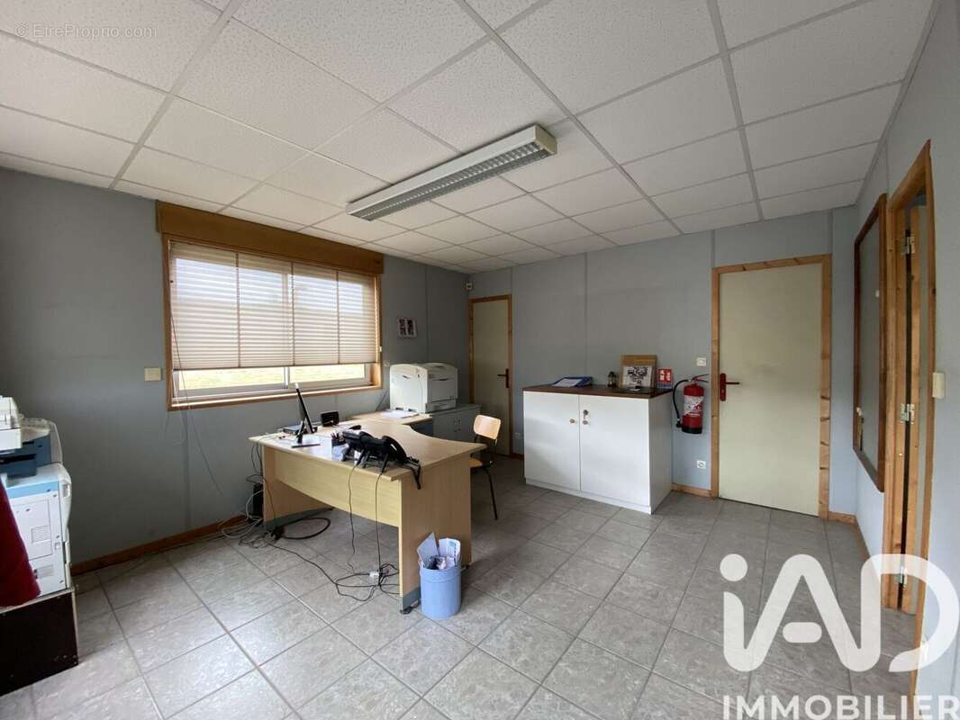 Photo 5