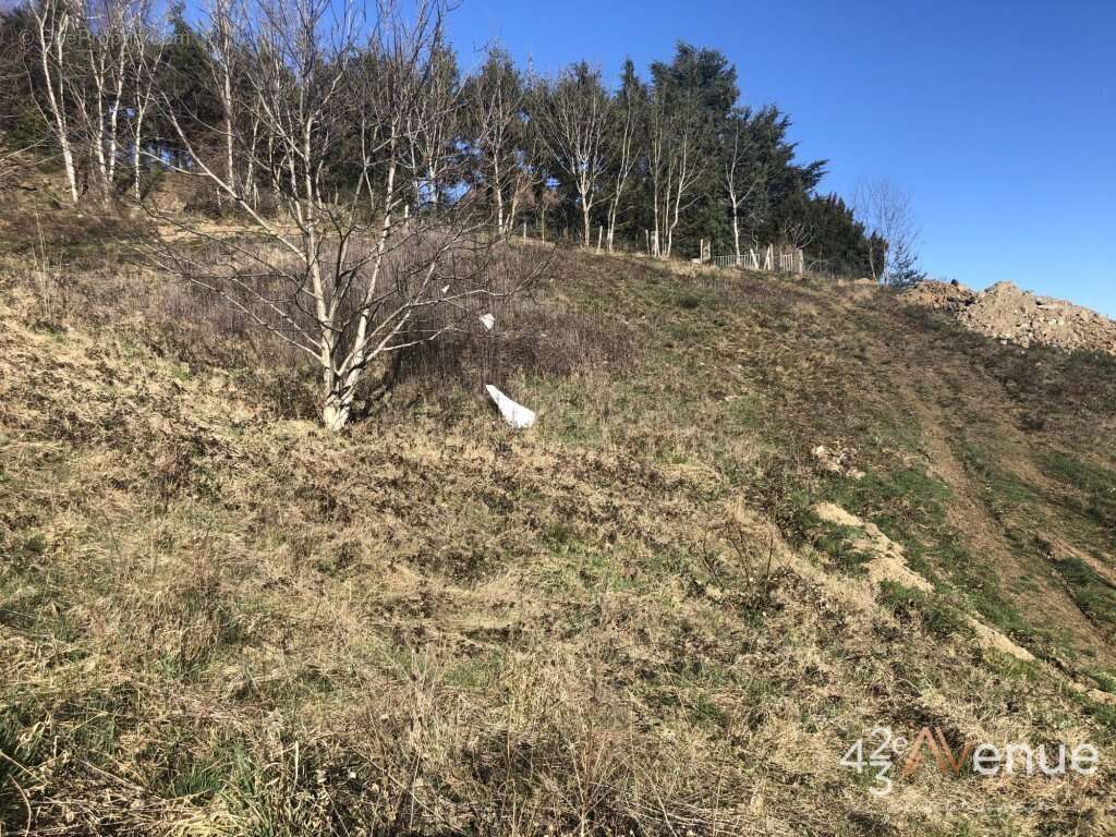 Terrain à SAINT-FERREOL-D&#039;AUROURE