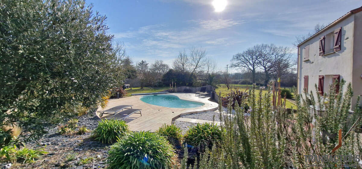 Maison à SAINT-HILAIRE-DE-CHALEONS