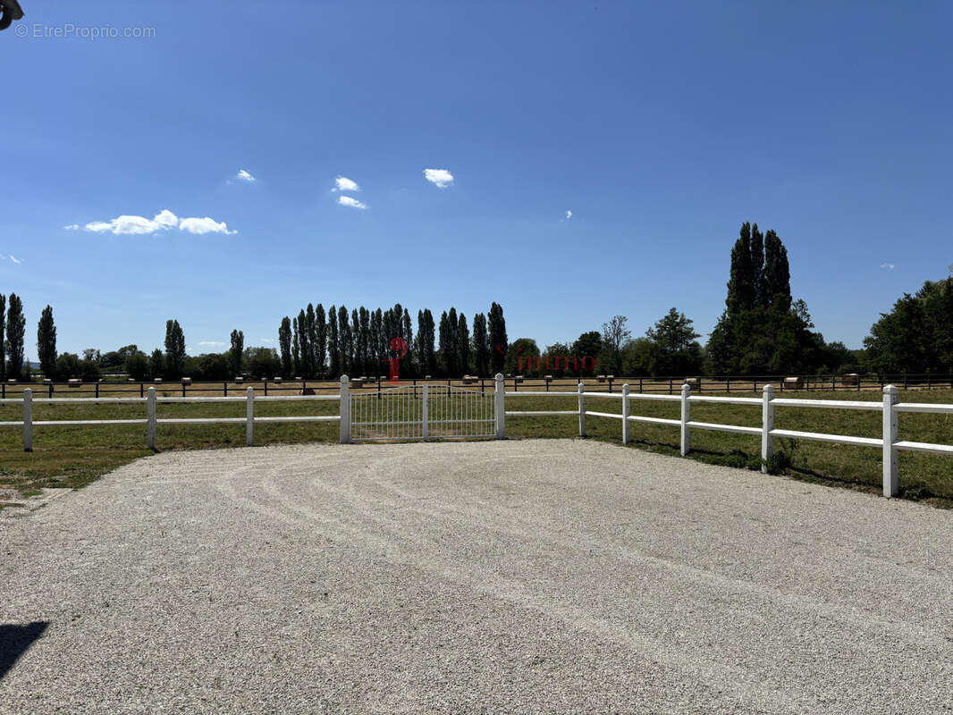 Propriété des années 50 avec écuries et 3,5 ha au cœur du bourg   Le Mêle-sur-Sarthe - photo 5