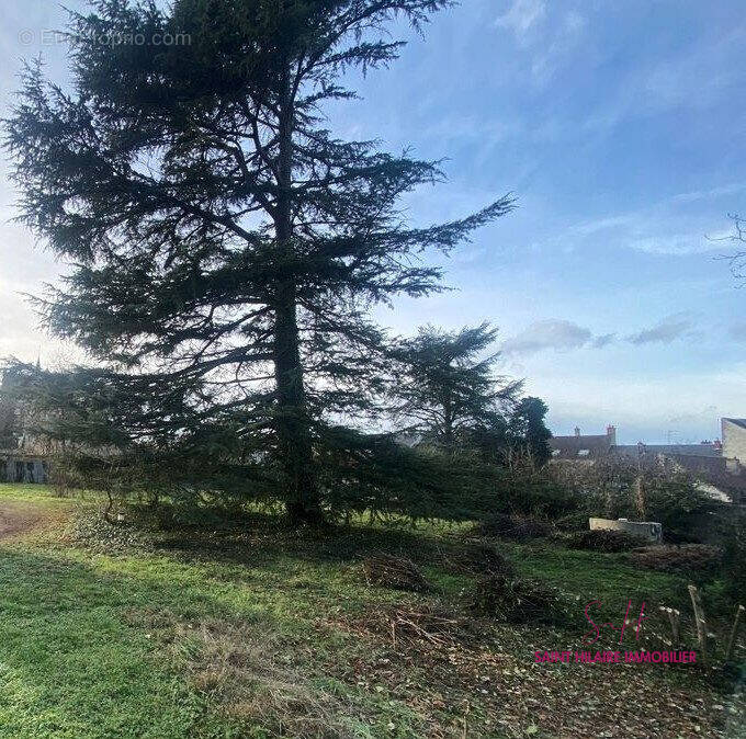 Terrain à CLERY-SAINT-ANDRE