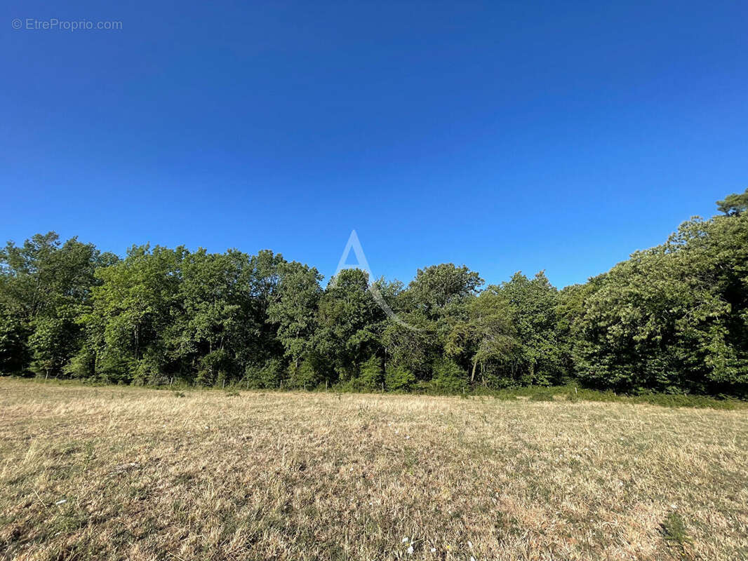Bois -  Montagnac-sur-Lède - 24 000 m2 - photo 2