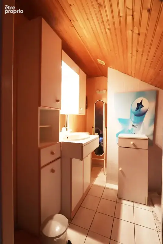 Maison Joue Les Tours 5 pièce(s) - photo 13