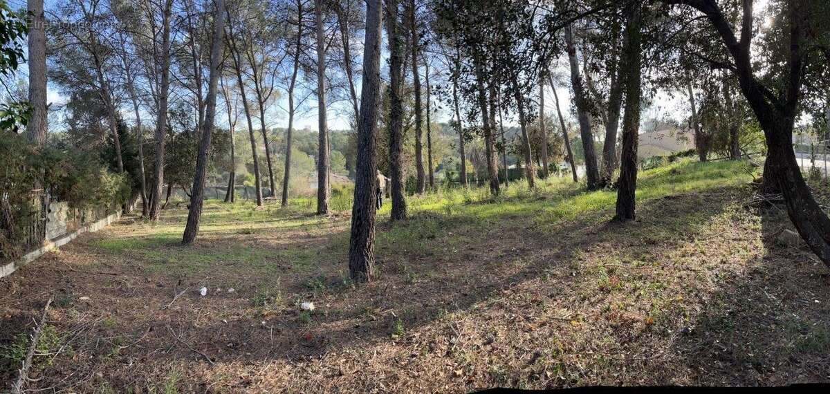 Terrain à MOUGINS