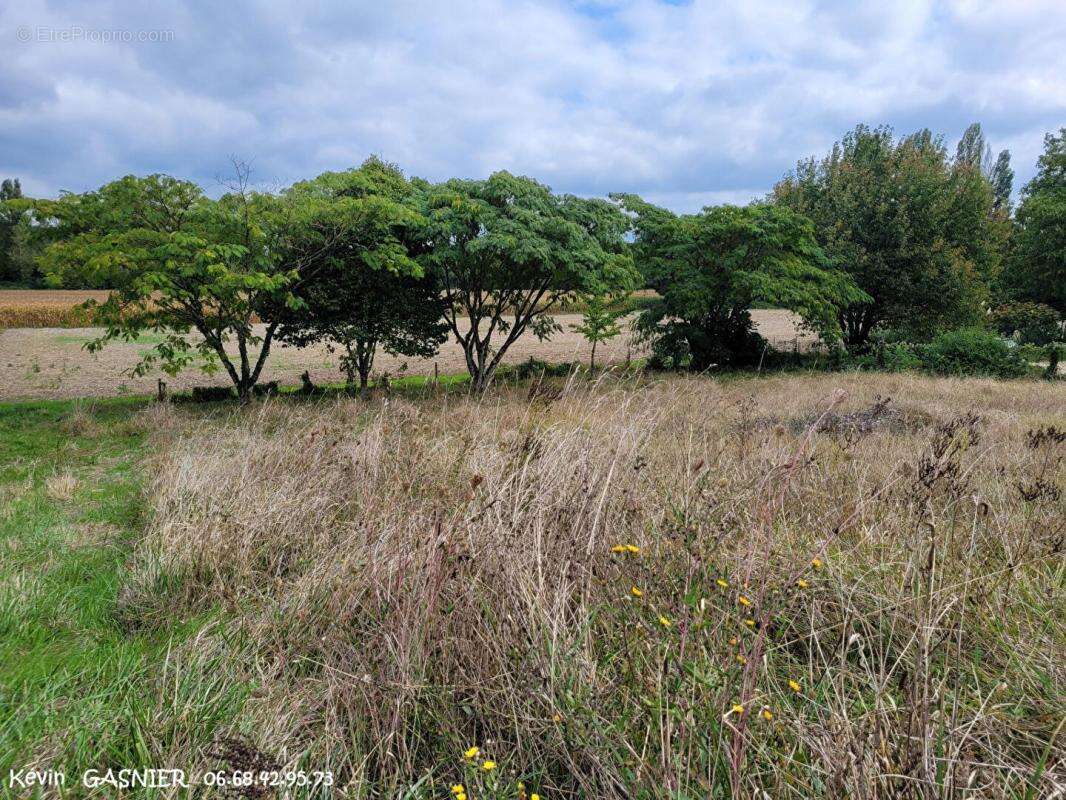LINARS (16730) : Terrain constructible de 830m2 - photo 3