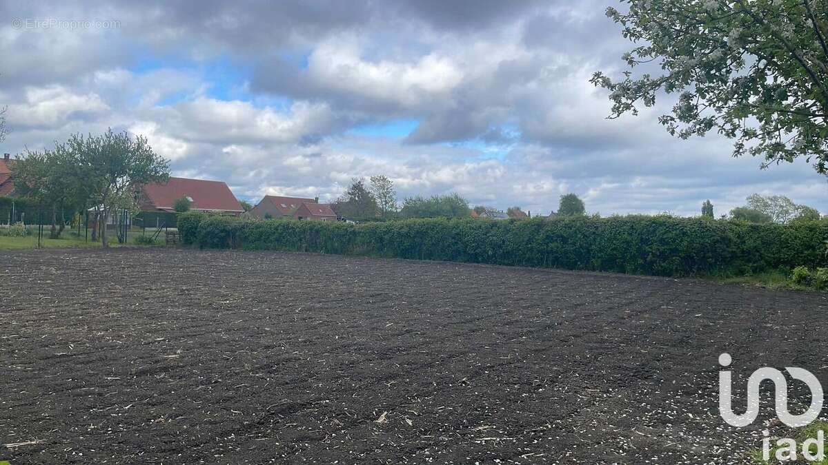 Photo 8 - Terrain à LOOBERGHE