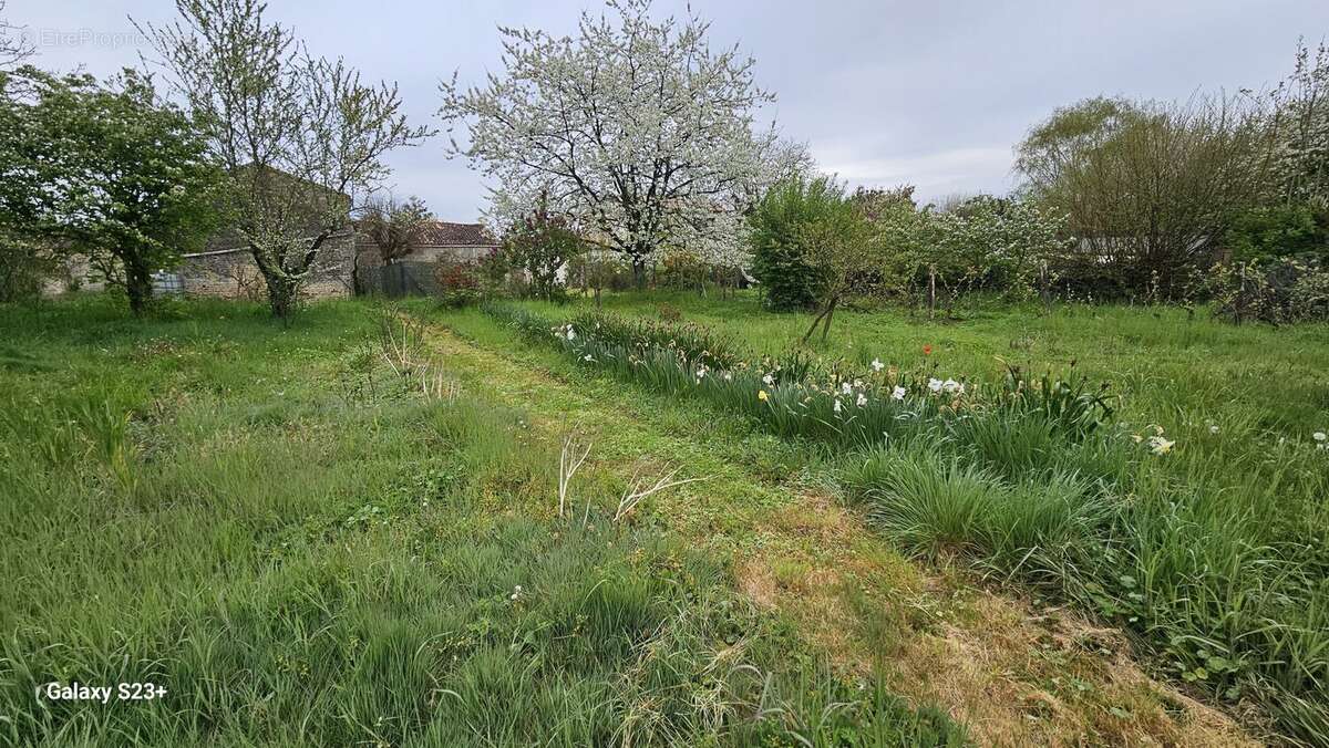 Terrain à SAINT-REMY