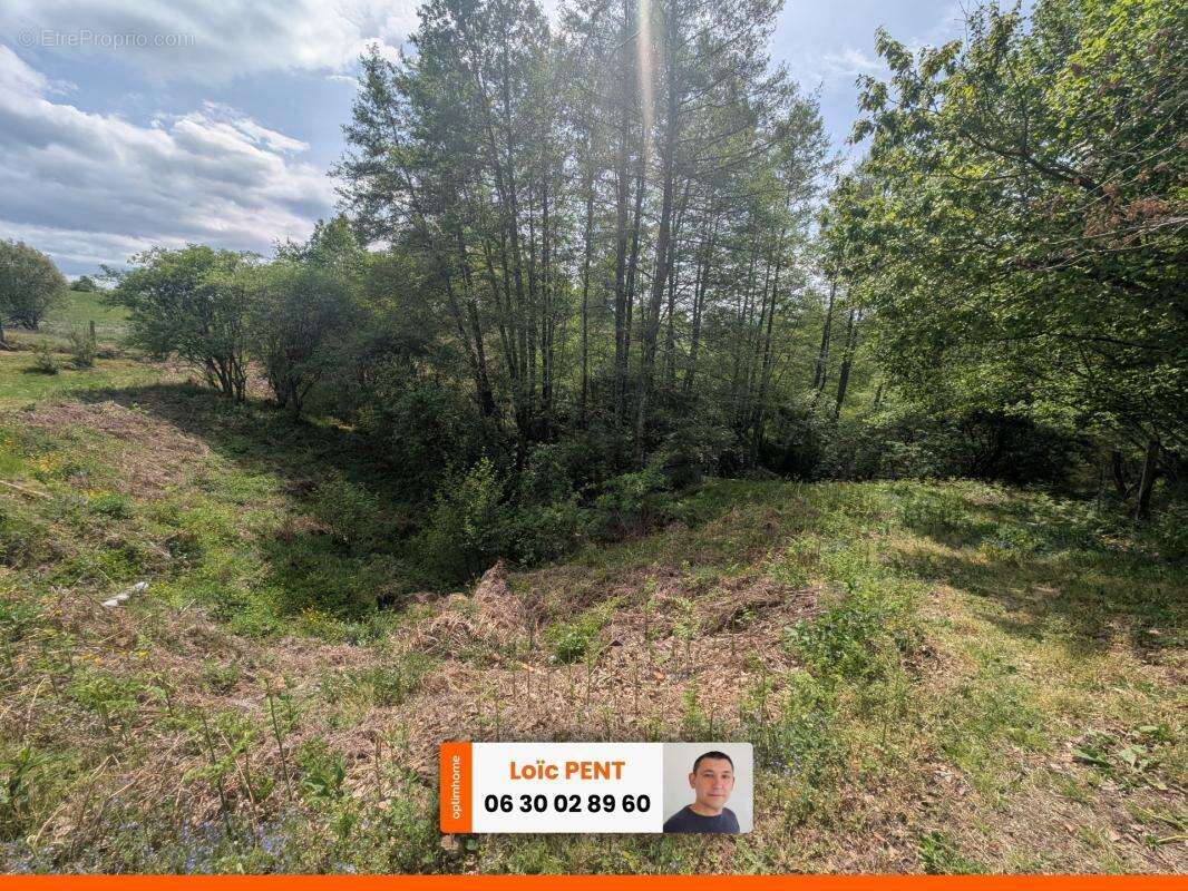 Etang à vendre sur un terrain de 26 033,00 m² LE MAYET DE MONTAGNE (03250) - photo 9