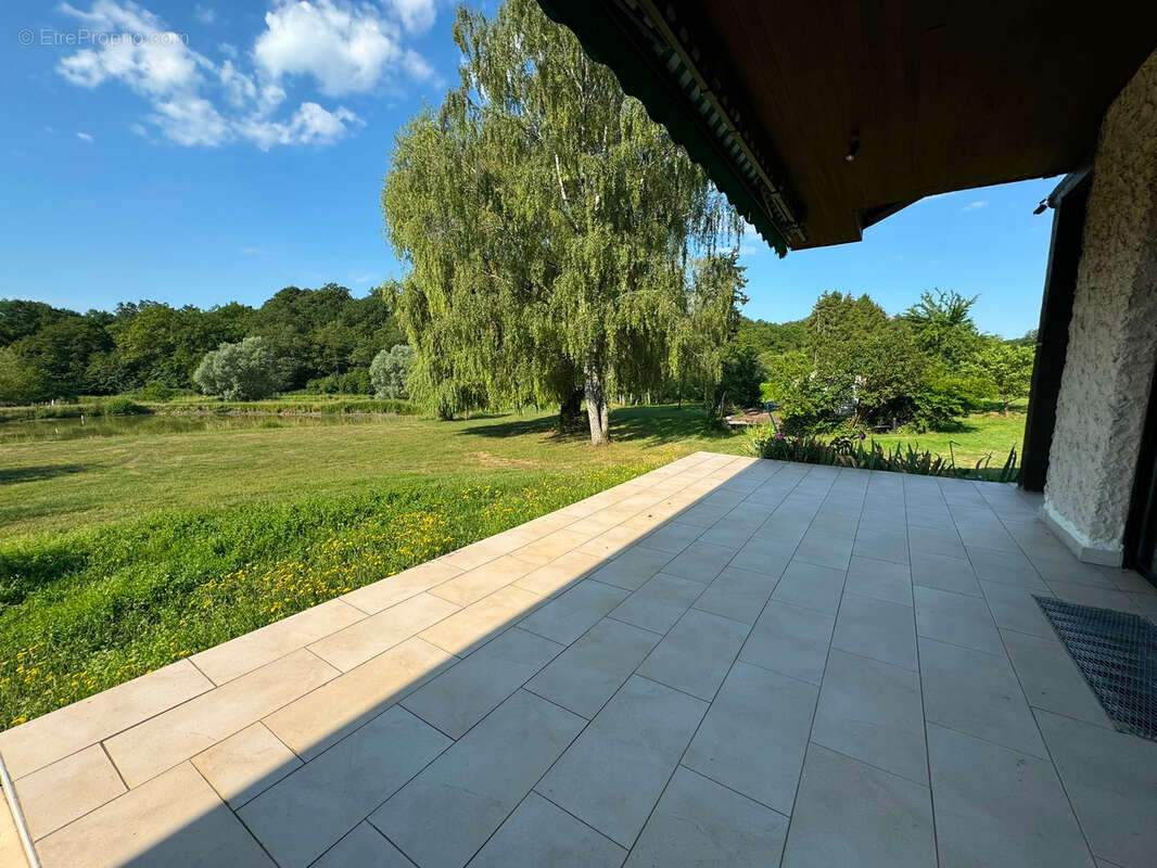 Propriété avec étangs, maison de plain pied au cœur de 3 hectares - photo 9